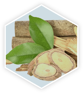 ProstaVive camellia sinensis ingredients